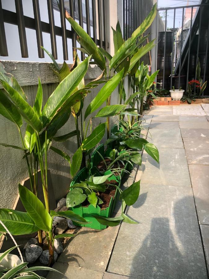 Homestay Phuong House Hoi An Eksteriør bilde