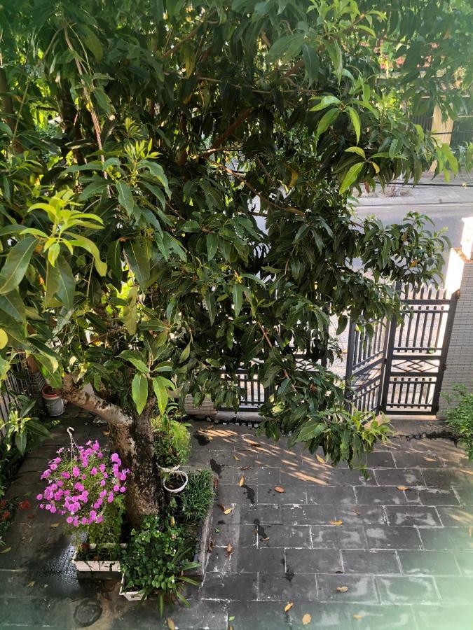 Homestay Phuong House Hoi An Eksteriør bilde